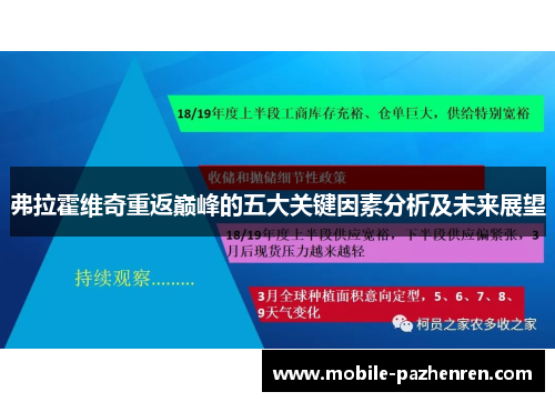 弗拉霍维奇重返巅峰的五大关键因素分析及未来展望 弗拉霍维奇重返巅峰的五大关键因素分析及未来展望