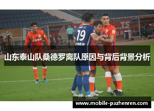 山东泰山队桑德罗离队原因与背后背景分析