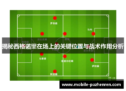 揭秘西格诺里在场上的关键位置与战术作用分析 揭秘西格诺里在场上的关键位置与战术作用分析