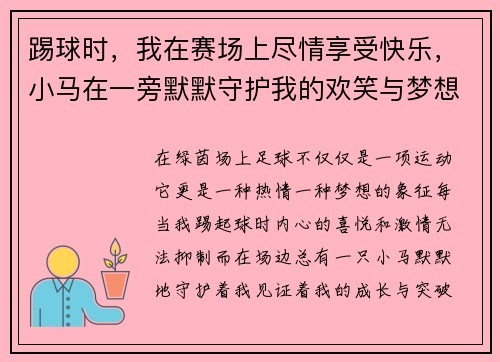 踢球时,我在赛场上尽情享受快乐,小马在一旁默默守护我的欢笑与梦想 踢球时,我在赛场上尽情享受快乐,小马在一旁默默守护我的欢笑与梦想