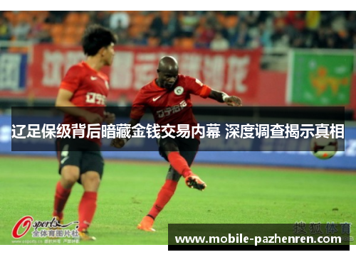 辽足保级背后暗藏金钱交易内幕 深度调查揭示真相