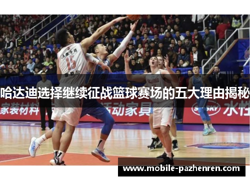 哈达迪选择继续征战篮球赛场的五大理由揭秘