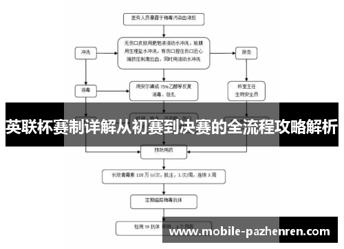 英联杯赛制详解从初赛到决赛的全流程攻略解析