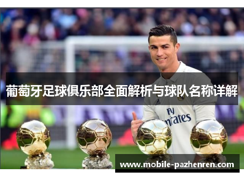 葡萄牙足球俱乐部全面解析与球队名称详解