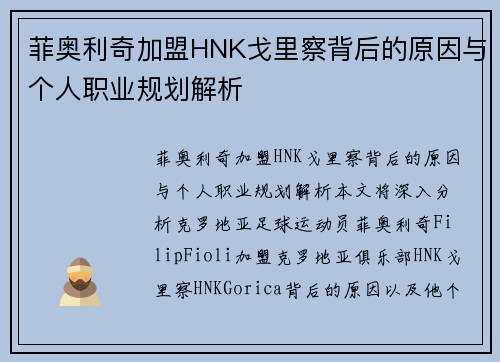 菲奥利奇加盟HNK戈里察背后的原因与个人职业规划解析