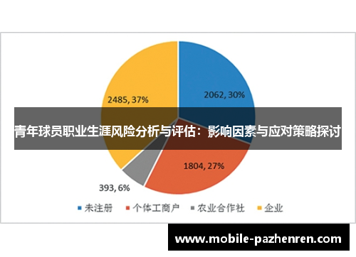 青年球员职业生涯风险分析与评估:影响因素与应对策略探讨 青年球员职业生涯风险分析与评估:影响因素与应对策略探讨